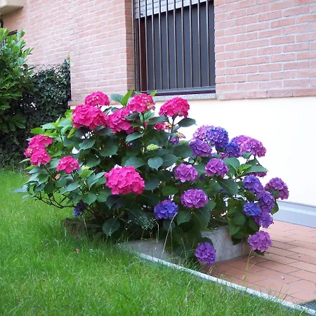 帕可ii住宿加早餐旅馆 4* 帕爾馬