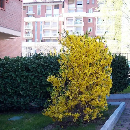 فندق مبيت وإفطار Il Parco بارما