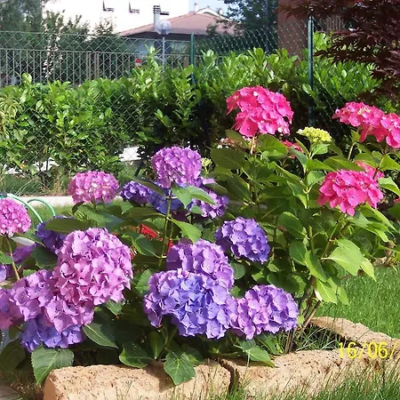 帕可ii住宿加早餐旅馆 4*