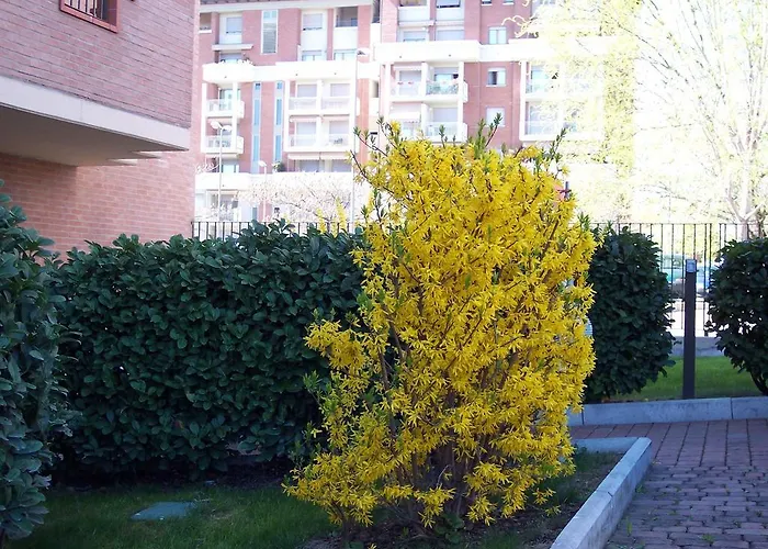 Couette-café Il Parco Parme